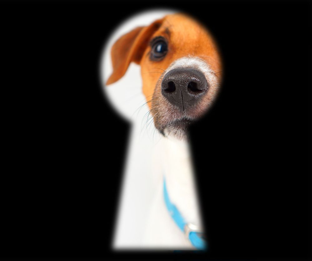 Envy? Or Genuine Concern?